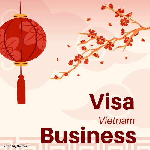 visa affaire vietnam